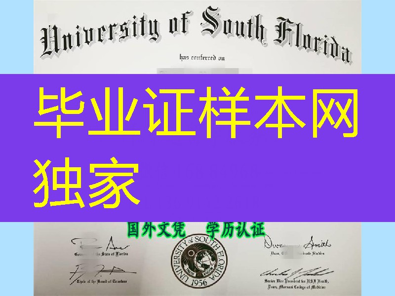 university of south florida master degree certificate，美国南佛罗里达大学毕业证样式，university