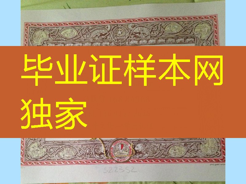 意大利巴里大学毕业证案例，意大利大学degree