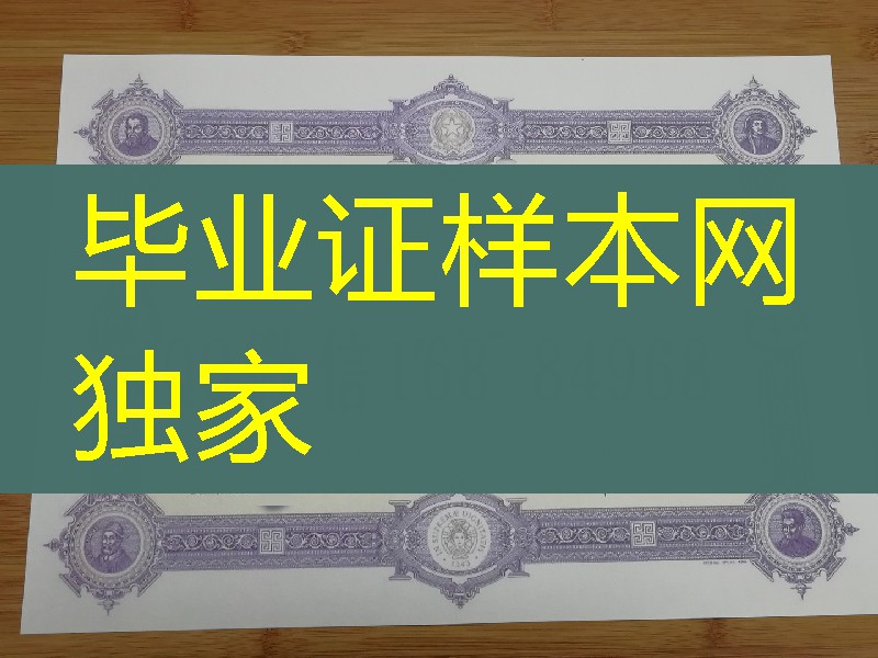 意大利比萨大学毕业证补办，University of Pisa diploma degree
