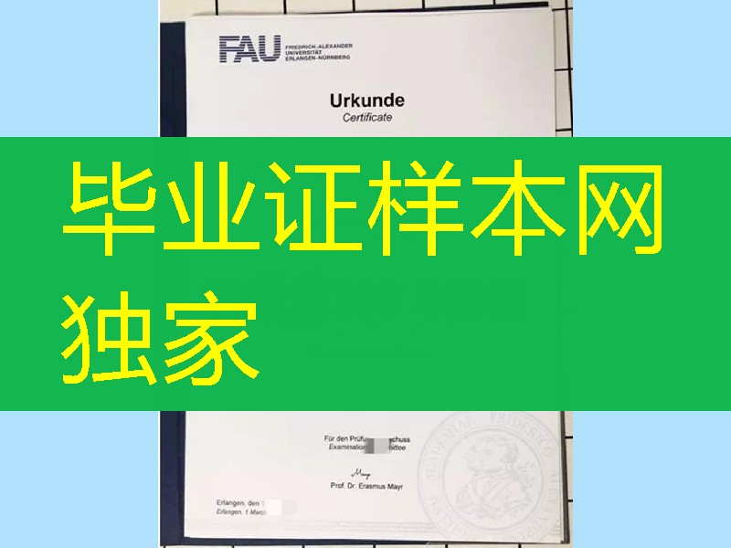制作德国埃尔朗根-纽伦堡大学毕业证，德国大学毕业证样本