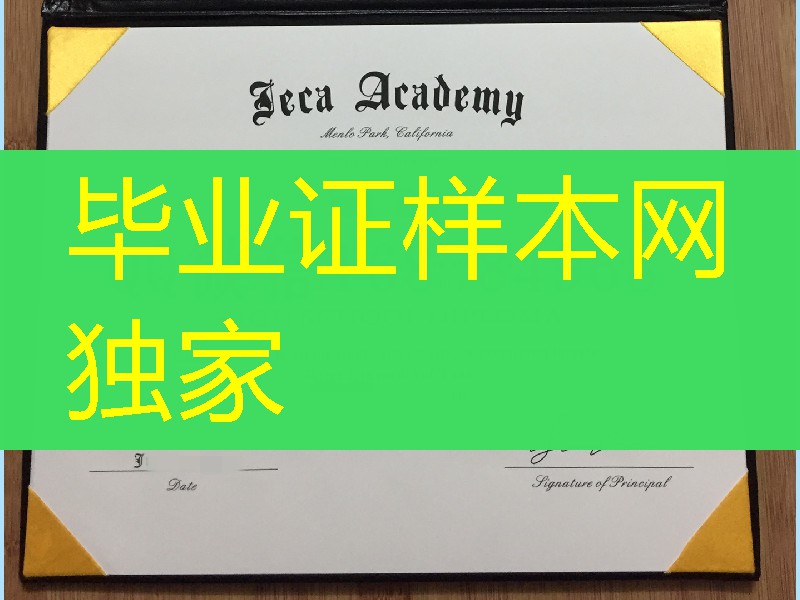 美国凯特中学高中文凭毕业证，teca academy diploma certificate