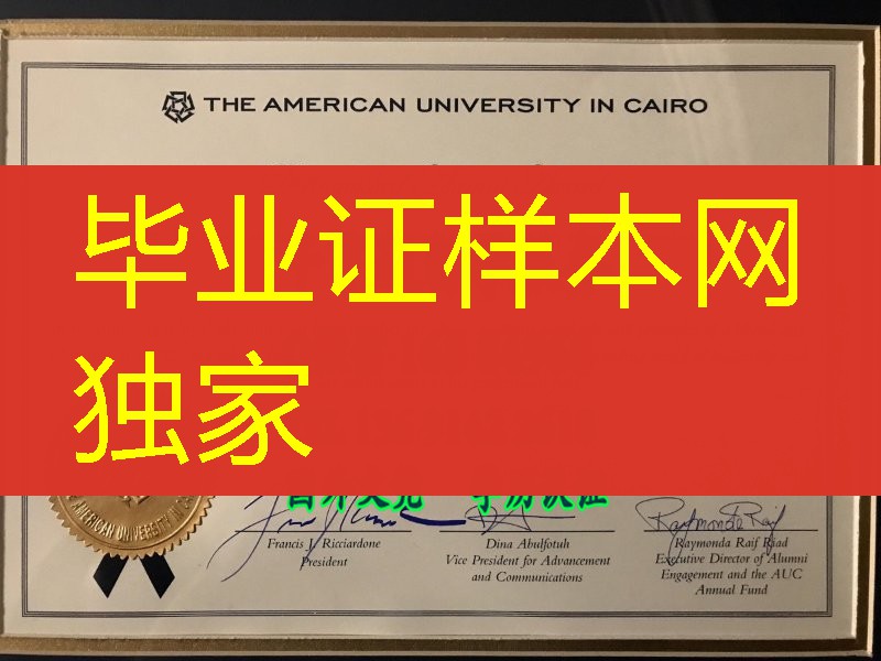 美国大学开罗分校毕业证，The American University in Cairo diploma