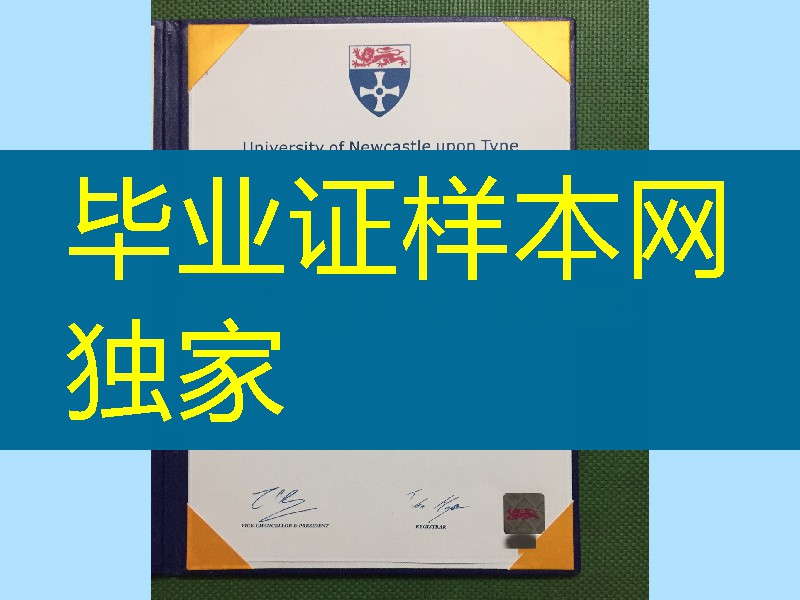 英国纽卡斯尔大学newcastle university毕业证与外壳，newcastle university diploma degree