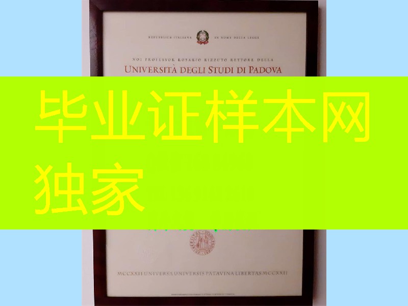 意大利帕多瓦大学毕业证样式，Università degli Studi di Padova diploma
