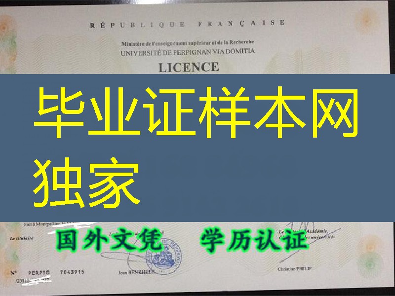 实拍法国佩皮尼昂大学毕业证，法国佩皮尼昂大学文凭在线购买