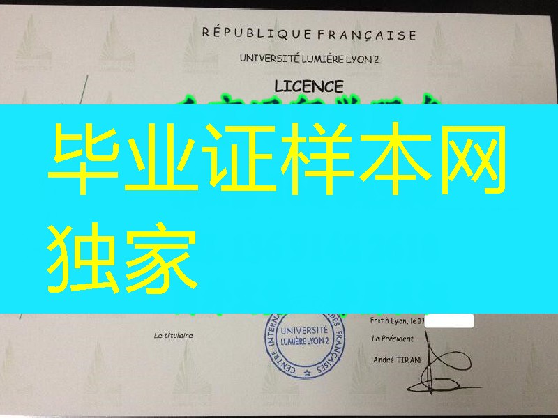 法国里昂第二大学毕业证案例，UNIVERSITE LUMIERE-LYON II diploma