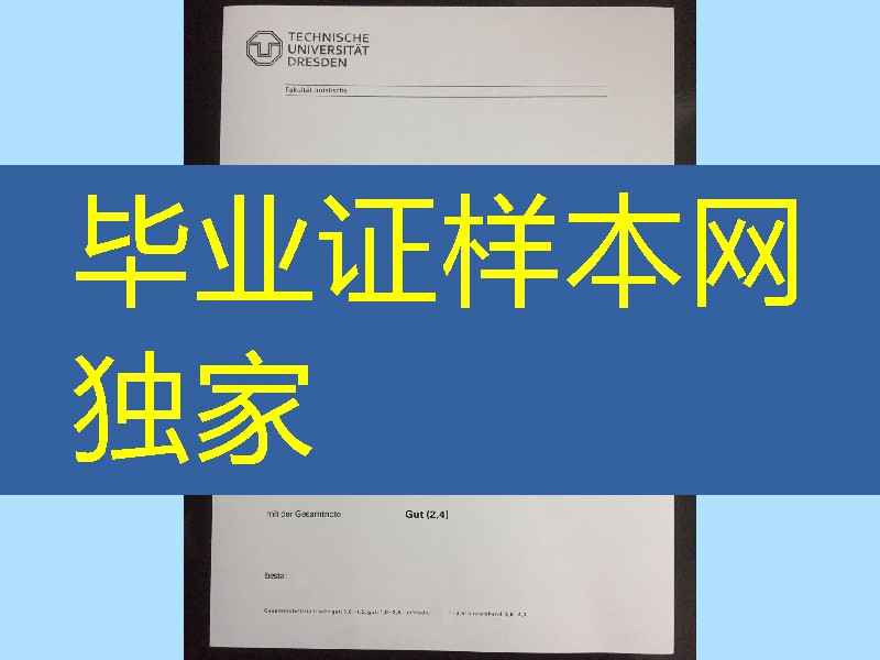 德累斯顿工业大学毕业证学位证，德累斯顿工业大学成绩单