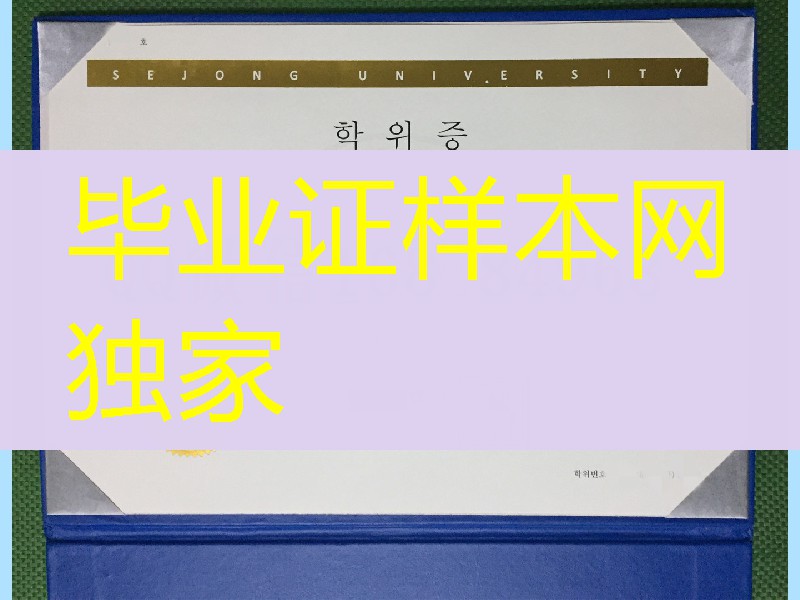 韩国世宗大学毕业证学位证，sejong university diploma degree