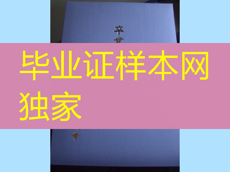 日本大阪国际大学卒业证书学位记外壳，日本学位记封皮定制