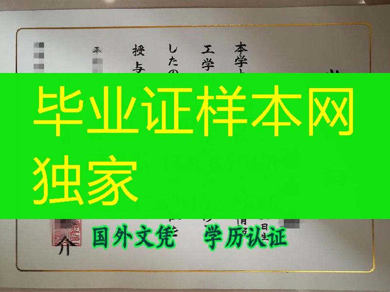 日本筑波大学学位记烫金，University of Tsukuba diploma