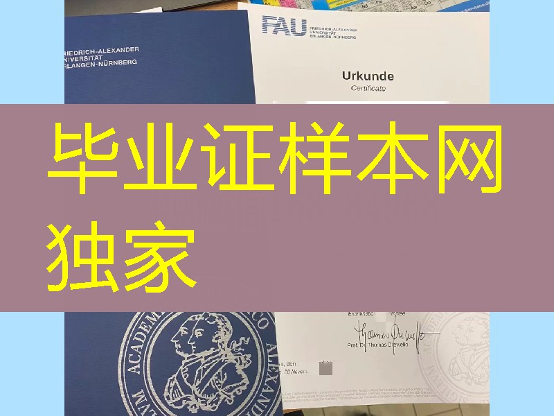 埃尔朗根-纽伦堡大学硕士学位毕业证，德国埃尔朗根纽伦堡大学毕业证成绩单图片