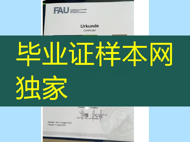 埃尔朗根-纽伦堡大学硕士学位毕业证,德国埃尔朗根纽伦堡大学毕业证成绩单图片