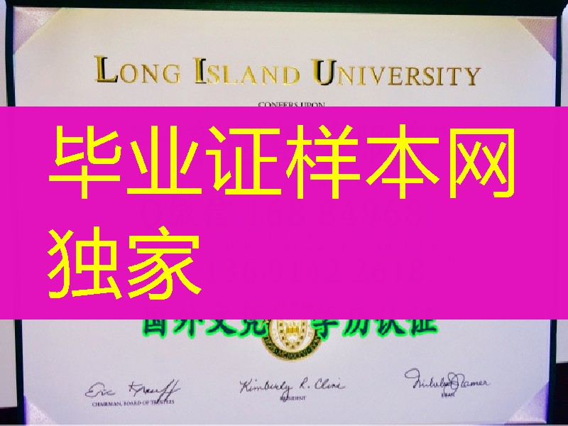 美国长岛大学毕业証Long Island University硕士学位证书，Long Island University diploma