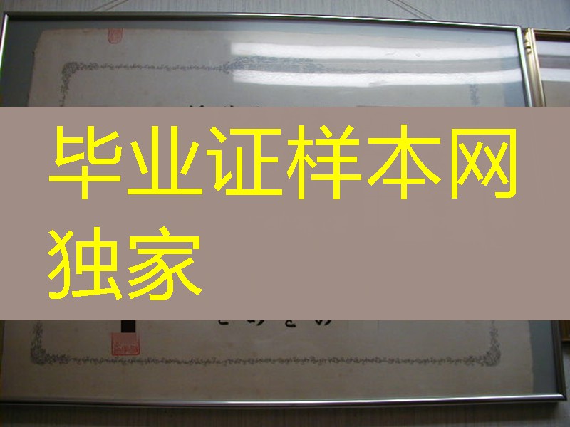 日本明治鍼灸大学卒业证书学位记,明治鍼灸大学毕业证