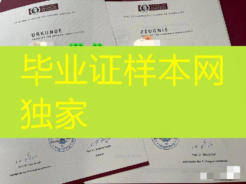 德国马格德堡大学Otto von Guericke University Magdeburg毕业证学位证，德国文凭样本