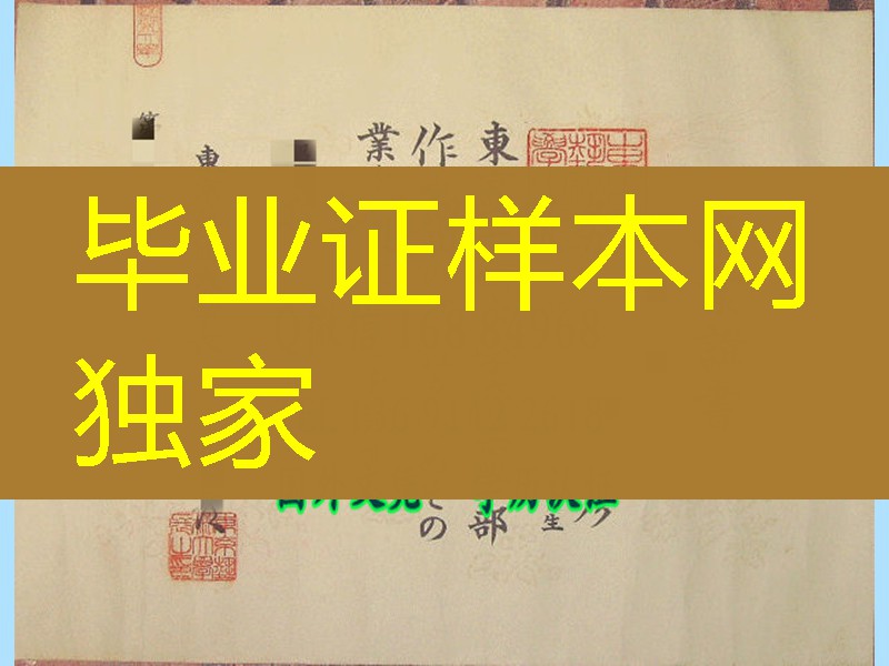 日本东京艺术大学学位记，Tokyo University of the Arts diploma certificate