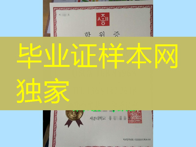 实拍韩国世宗大学学位证Sejong University diploma