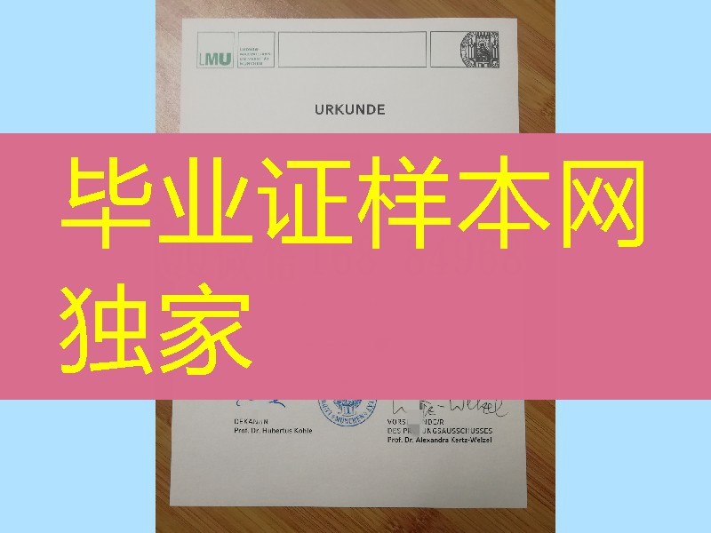慕尼黑大学LMU毕业证学位证案例，University of Munich diploma degree