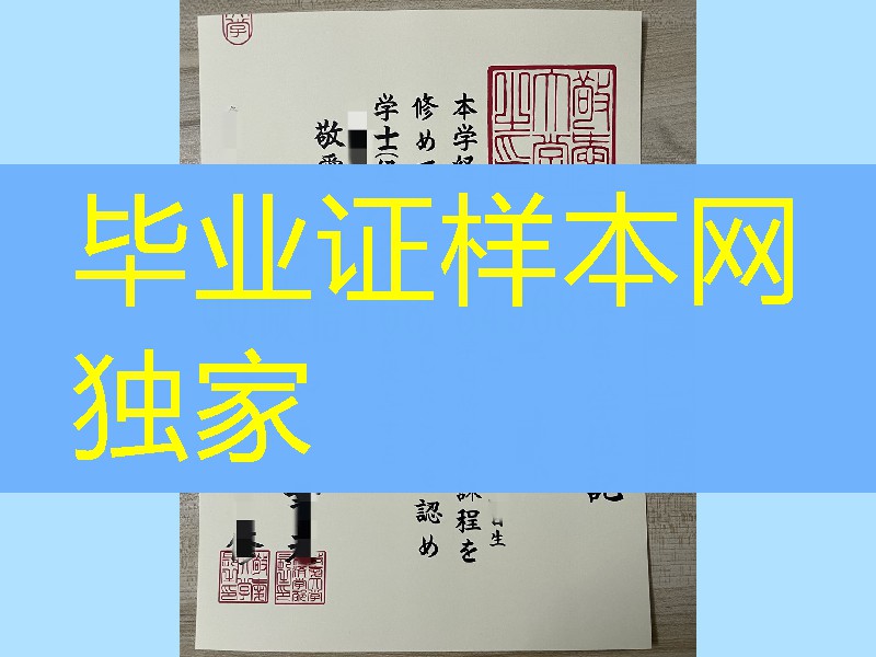日本敬爱大学学位记，日本敬爱大学卒业证书学位记模版
