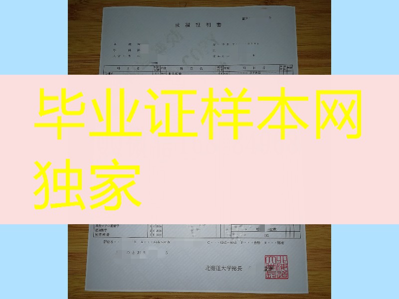 日本北海道大学成绩单印刷，Hokkaido University transcript
