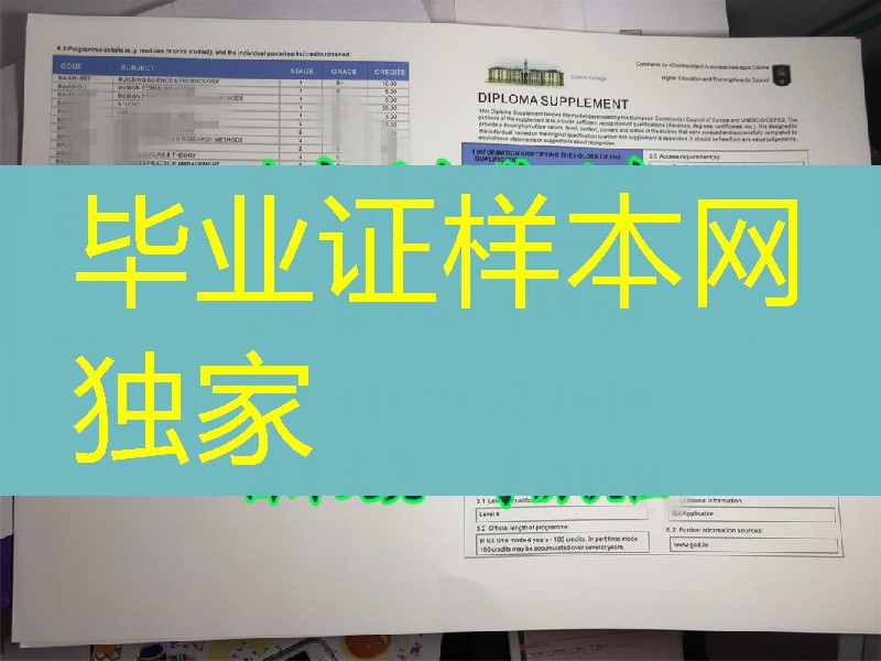 爱尔兰都柏林格里菲斯学院Griffith College成绩单欣赏