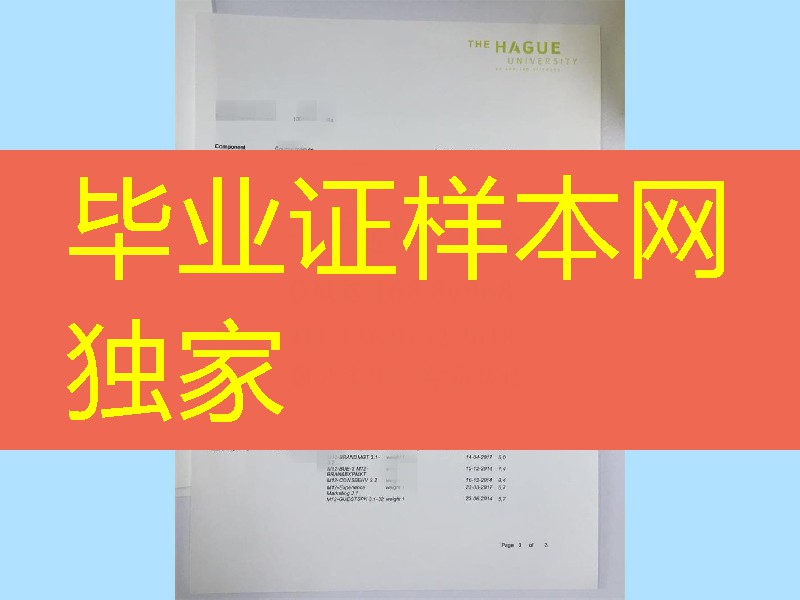 荷兰海牙大学成绩单，Hague University of Applied Sciences transcript