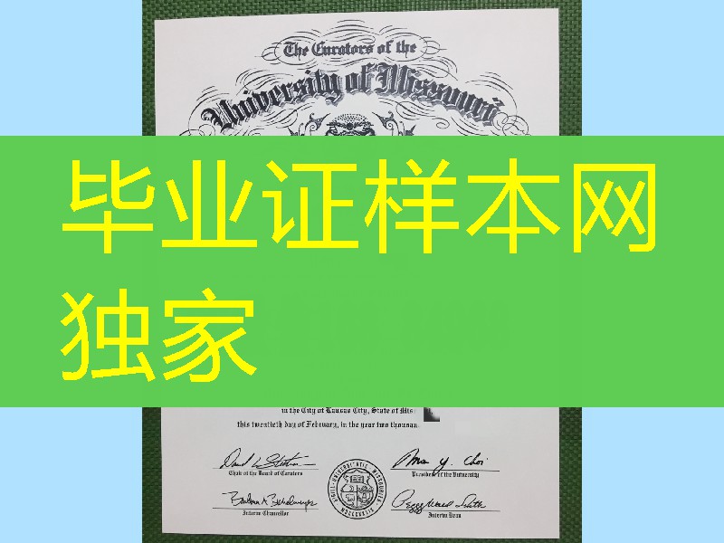 美国密苏里大学圣路易斯分校毕业证成绩单，美国密苏里大学圣路易斯分校学历文凭模版