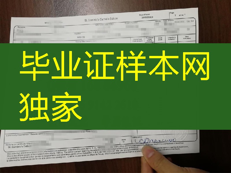 新西兰st dominic's catholic school教会学校高中成绩单，st dominic's catholic school transcript