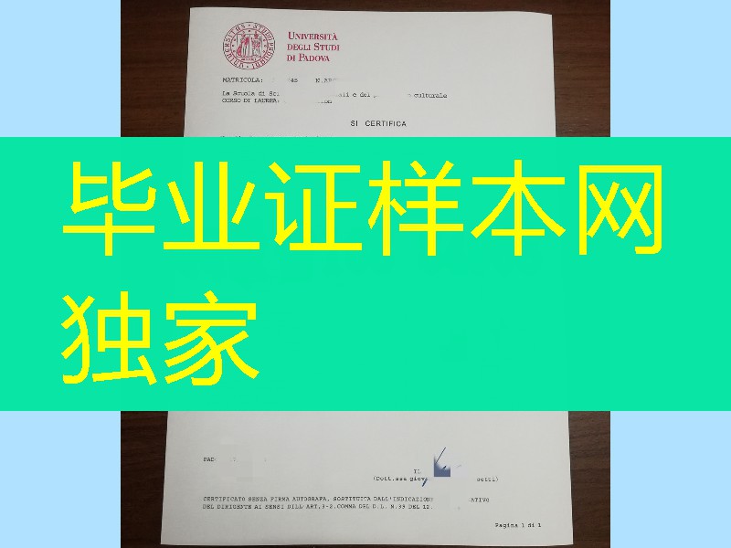 意大利帕多瓦大学成绩单，Università degli Studi di Padova transcript