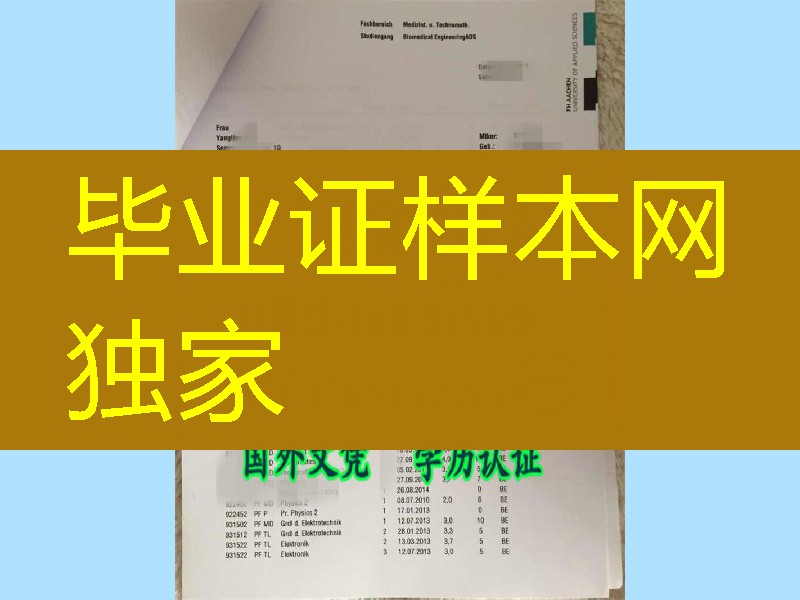 德国亚琛应用技术大学the Aachen University of Applied Sciences真实成绩单