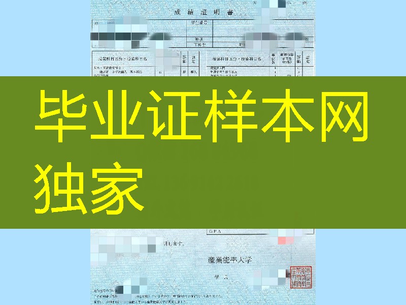 日本产业能率大学成绩单样本，SANNO UNIVERSITY  transcript
