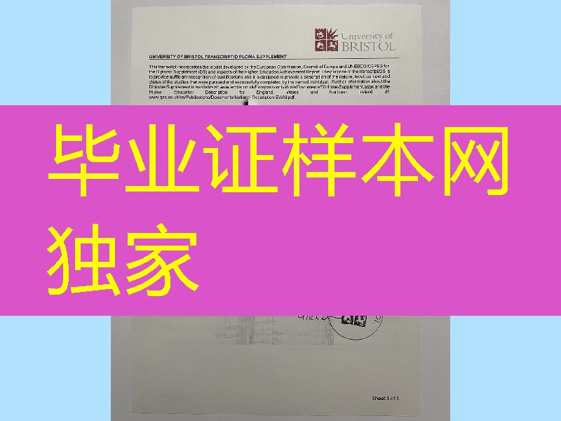 英国布里斯托大学成绩单，英国大学成绩单，university of bristol transcript