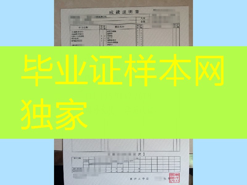 日本东洋大学成绩单，Toyo University transcript